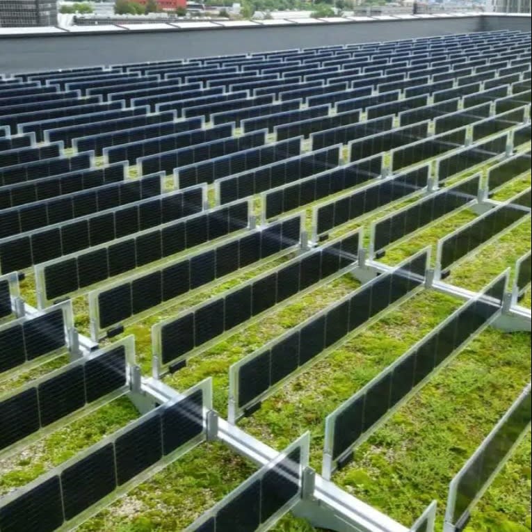 Solargreen Bifacial