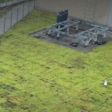 Bluegreen Roof