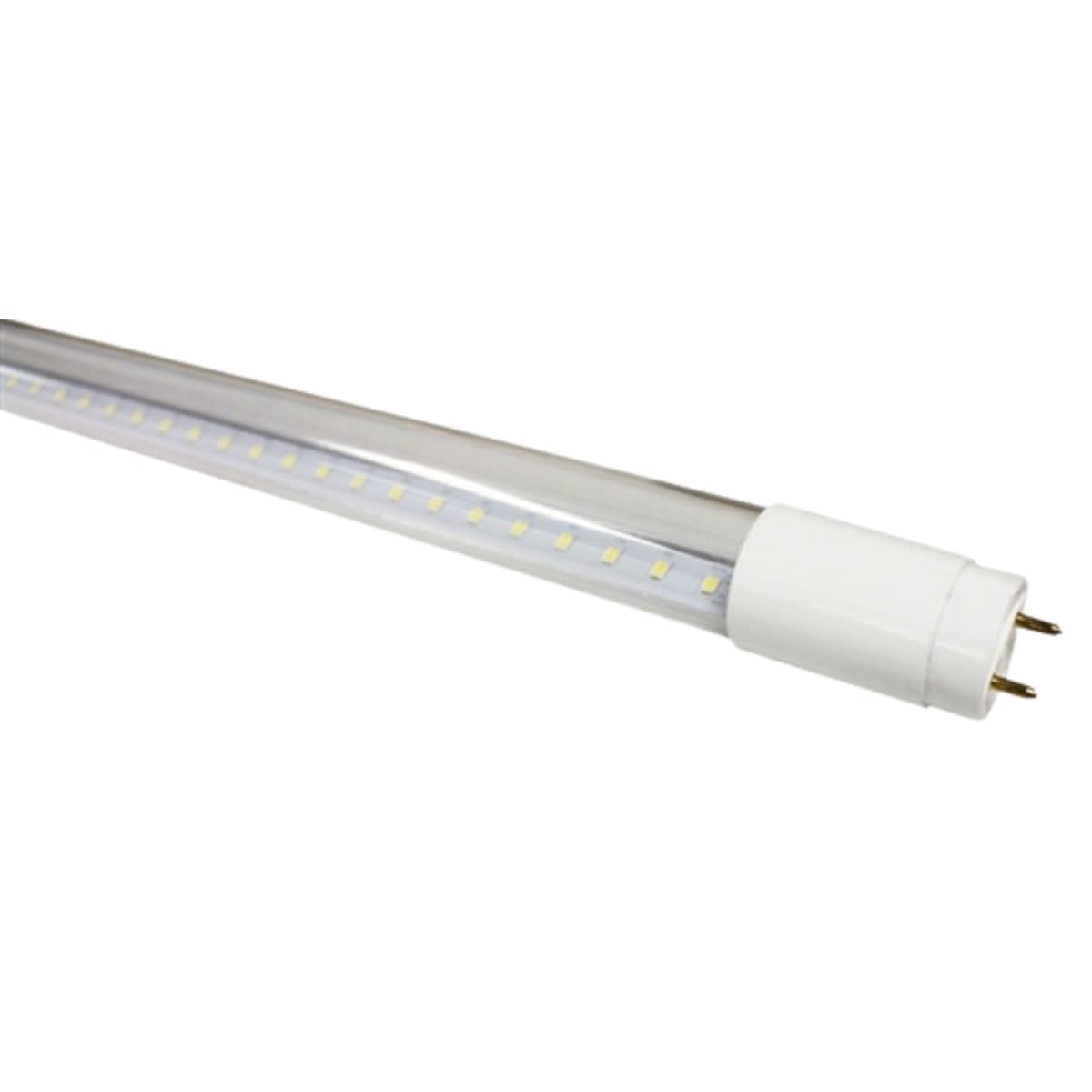 EvoLumen Rx 4" T8 Tube