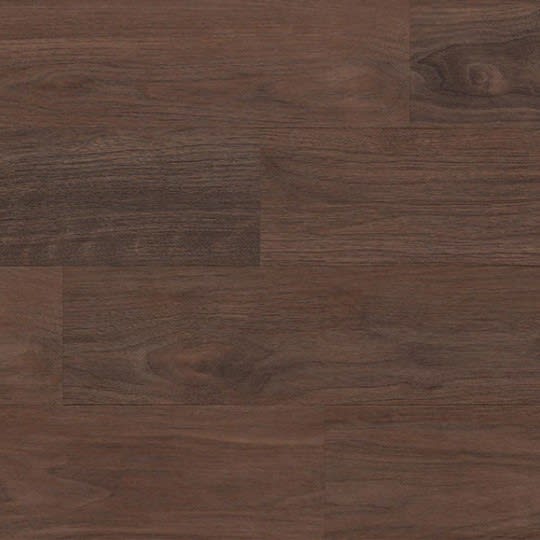 American Walnut