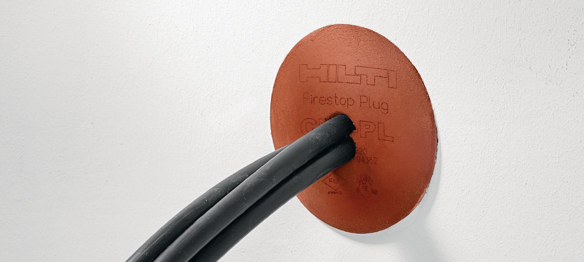 CFS-PL Firestop plug