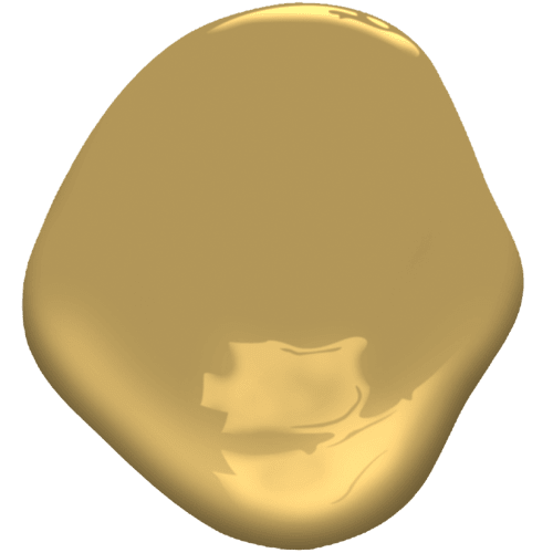 Acorn Squash