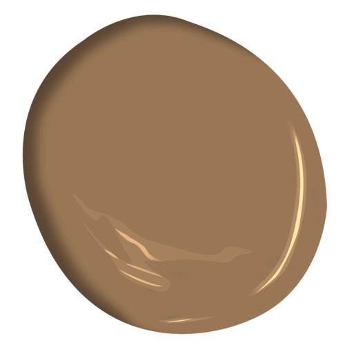 Acorn