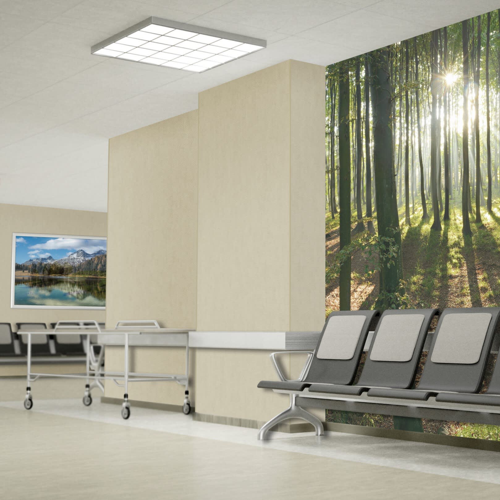Cozy Wall Protection