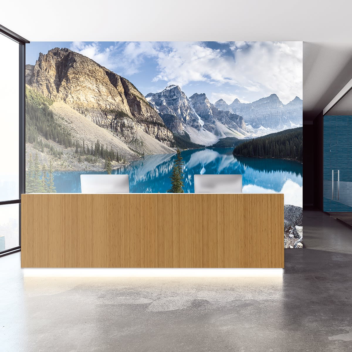 Graphics & Murals Wall Protection