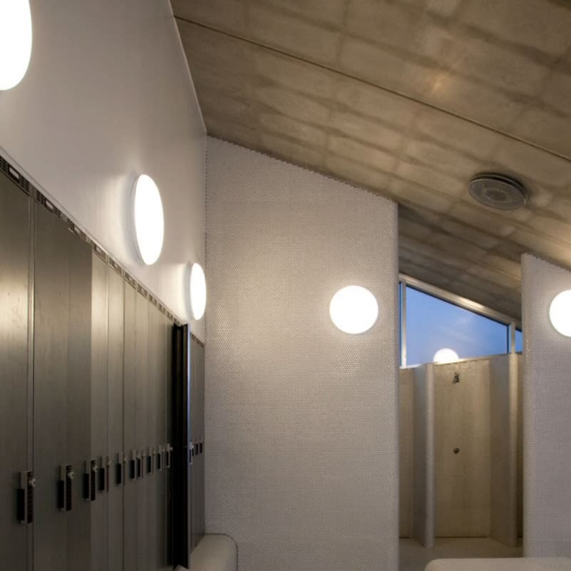 Silverback Ceiling/Wall Lamp