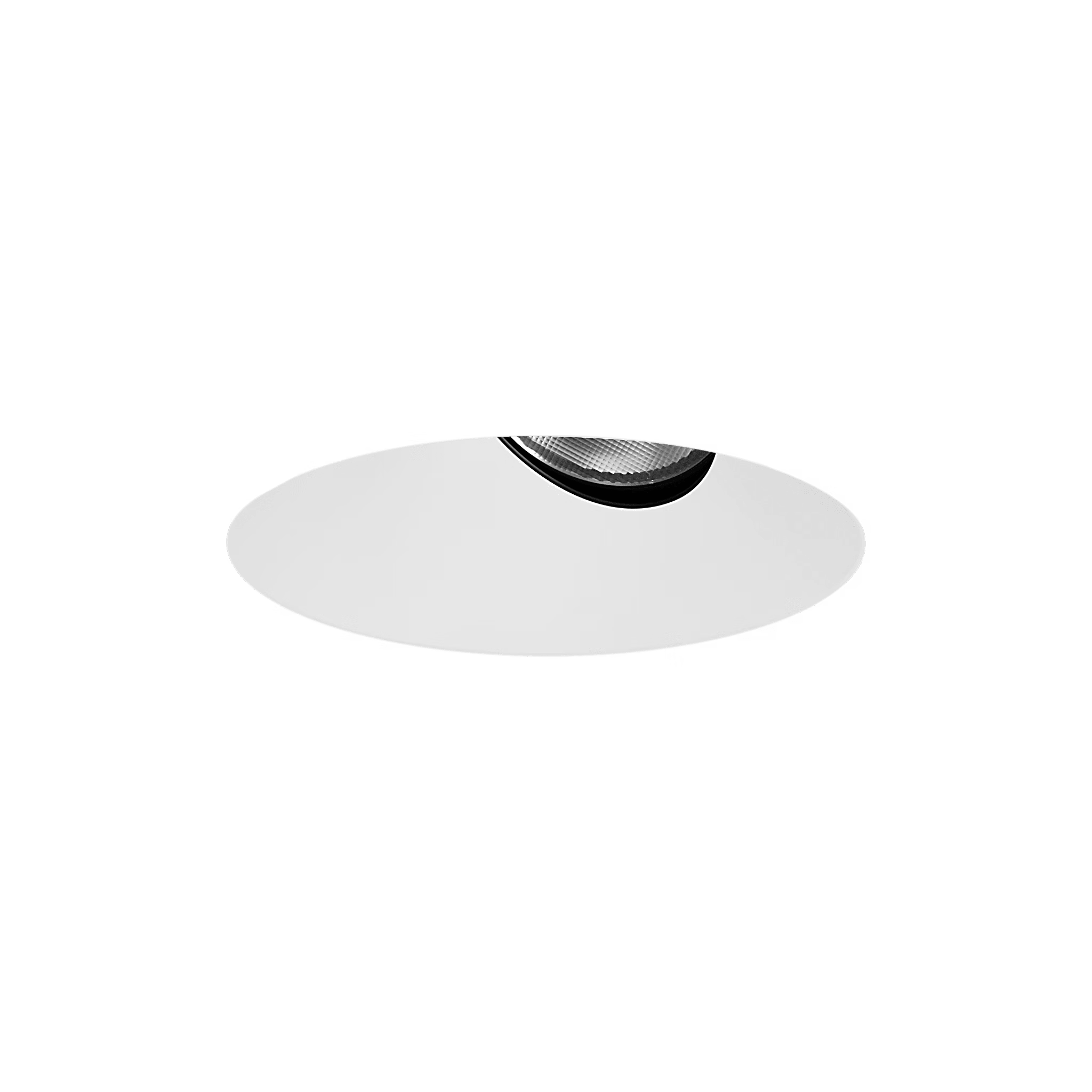 2" LED Remodel Adjustable, Fixed & Wall Wash