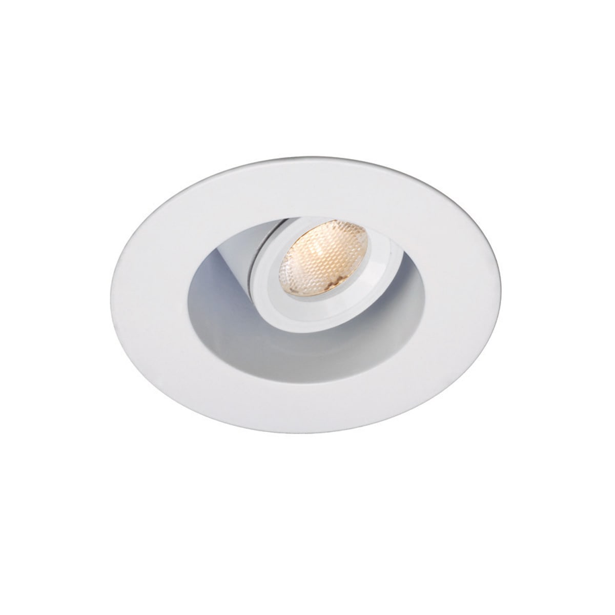 1 LEDme Round Adjustable Downlight (Remote Driver)