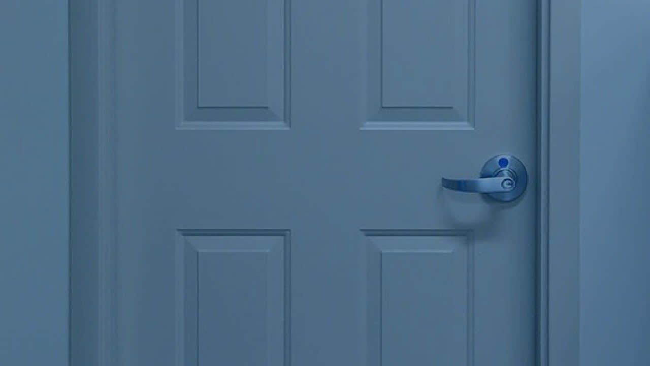 CE Series Embossed Panel Doors