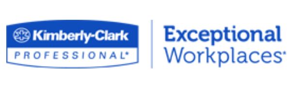 Kimberly-Clark BLOCK-IT* House Wrap