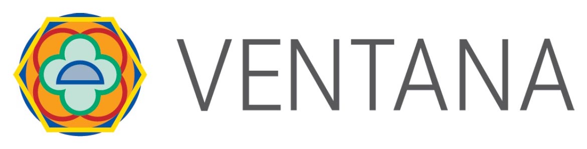 Ventana USA logo
