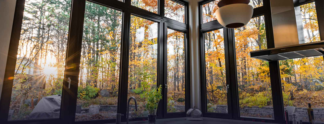 NZP Fenestration