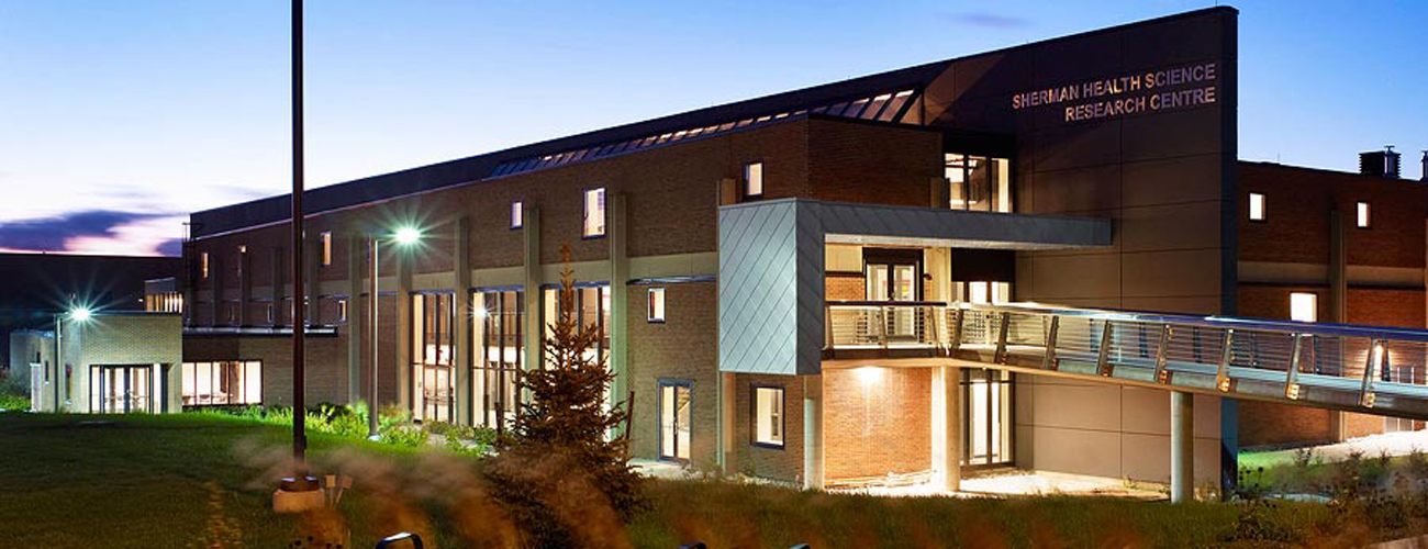 Synstone International
