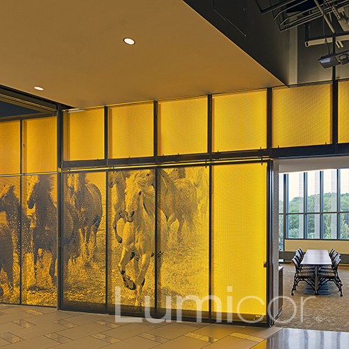 LUMICOR image 3
