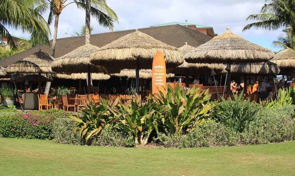 Safari Thatch image 7