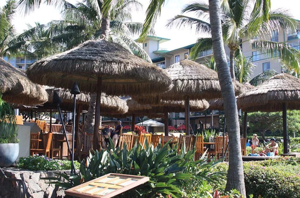 Safari Thatch image 3