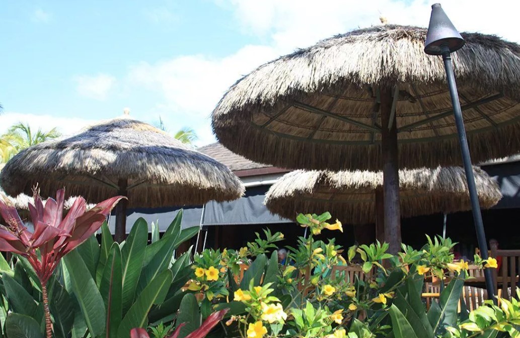Safari Thatch image 9