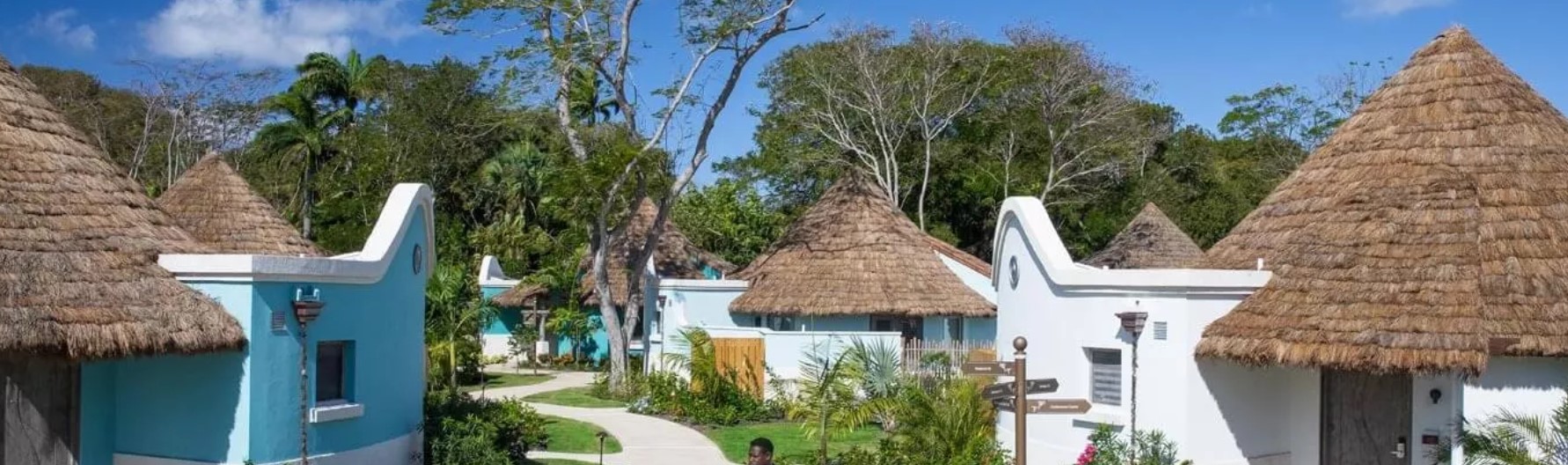 Safari Thatch image 13