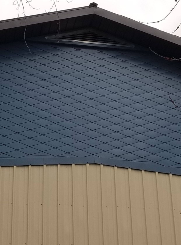 Dragon Armor Metal Shingles image 10
