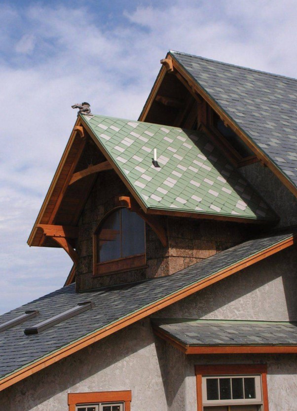 Dragon Armor Metal Shingles image 4