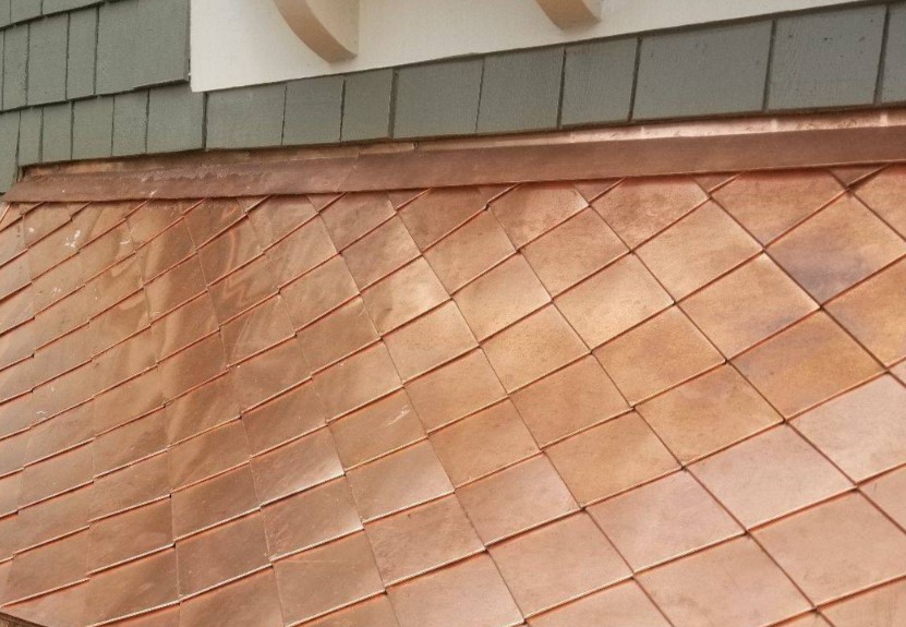 Dragon Armor Metal Shingles image 5