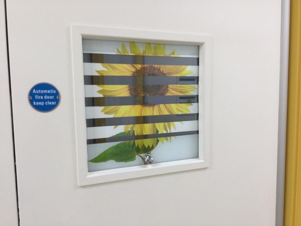 Privacy Glass Solutions image 33