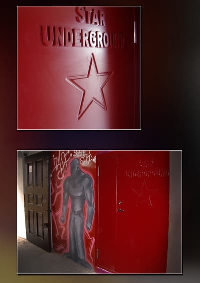 Shield Security Doors image 17