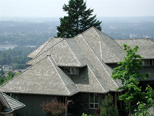 Wolf Creek Cedar image 11