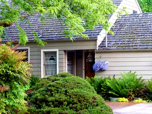 Wolf Creek Cedar image 6