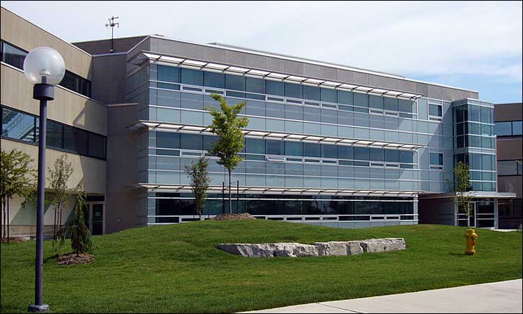 Synstone International image 15