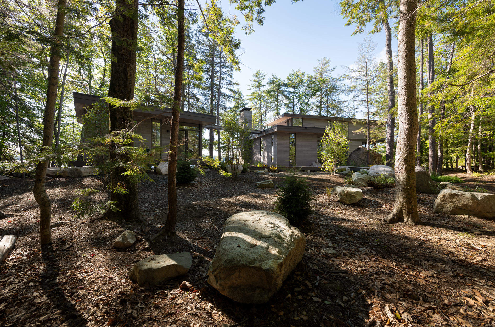 reSAWN TIMBER co. image 13