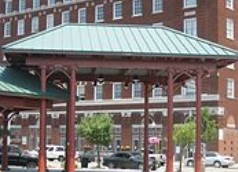 TFC Canopy image 3