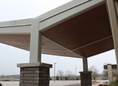 TFC Canopy image 2