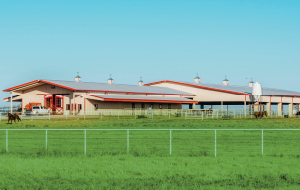 Star Building Systems, A Robertson Ceco Co. image 10