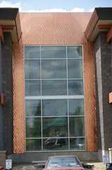 Diamond Shingles image 2