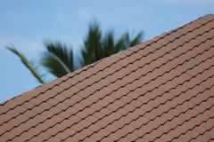 Diamond Shingles image 3