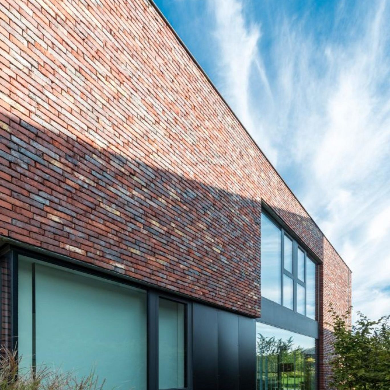 IKON Windows & Doors image 8