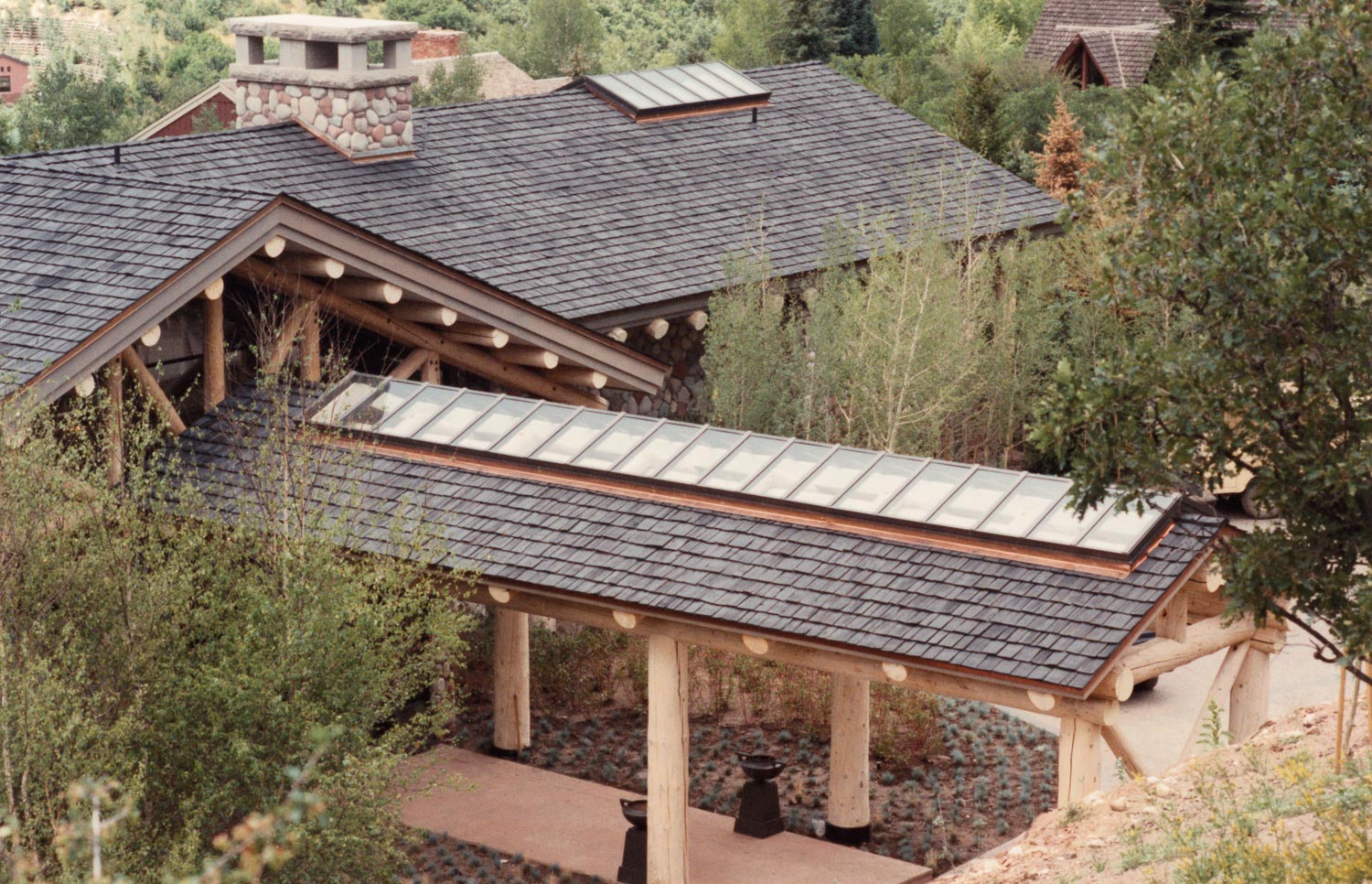 Dalyte image 6