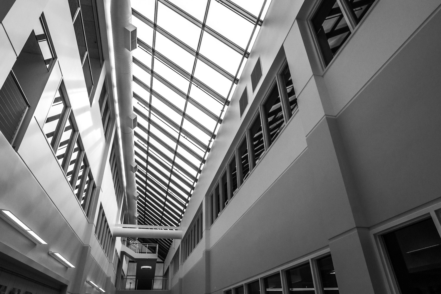 Dalyte image 10