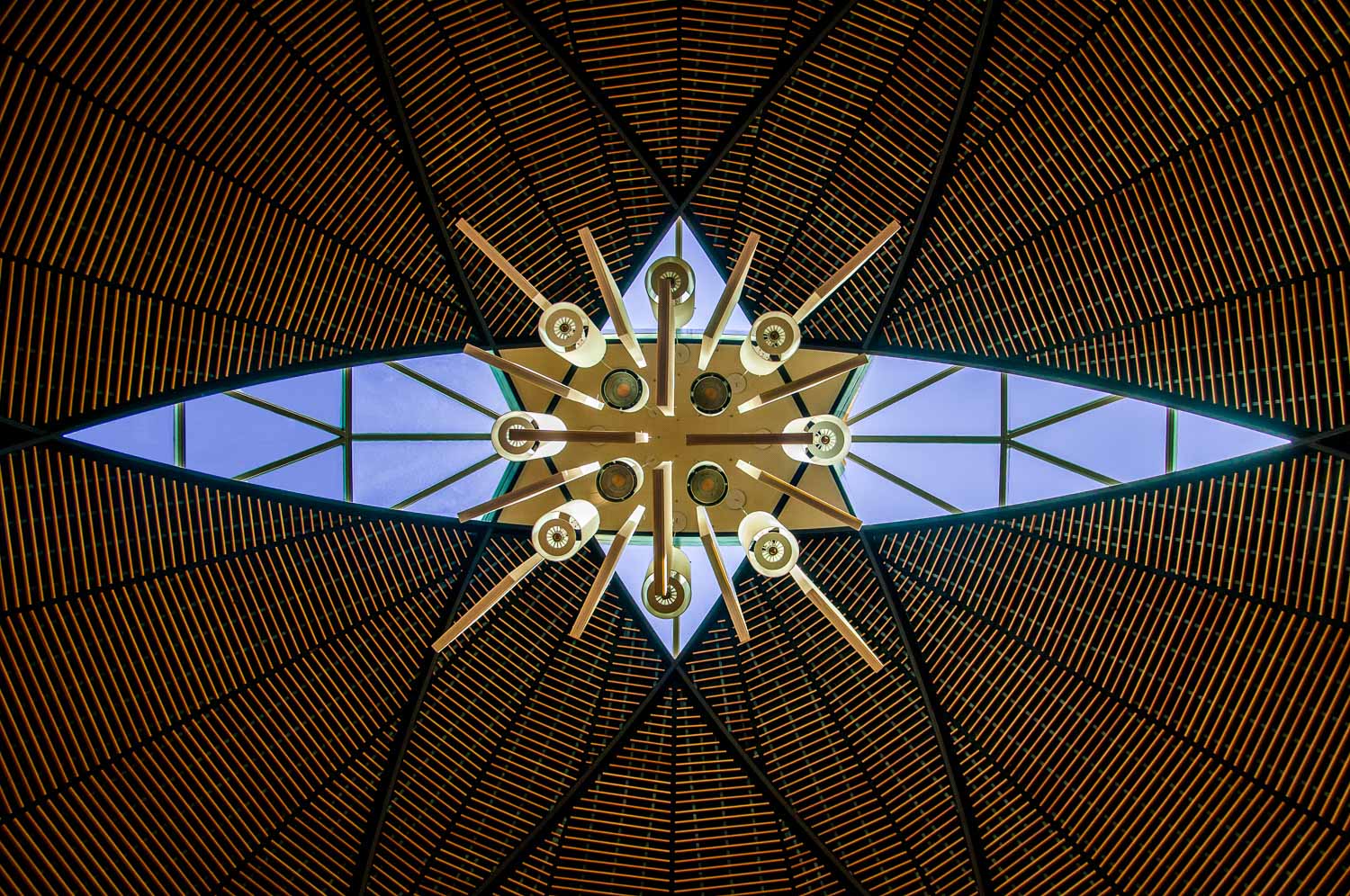 Dalyte image 12