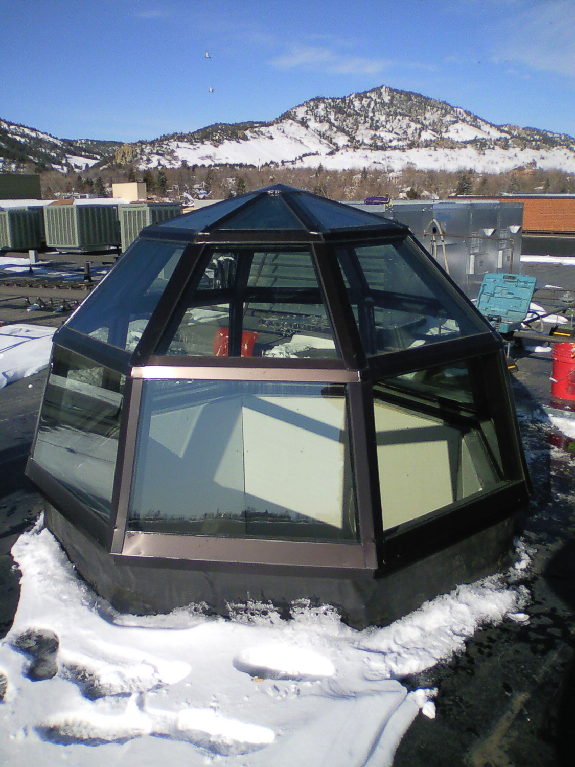 Dalyte image 11