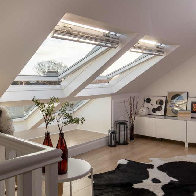 VELUX  image 6