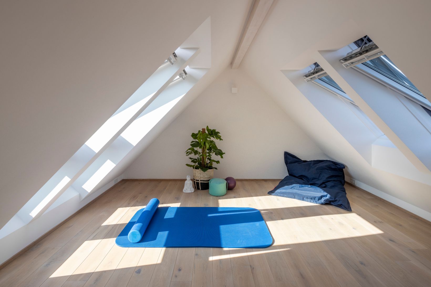 VELUX  image 42