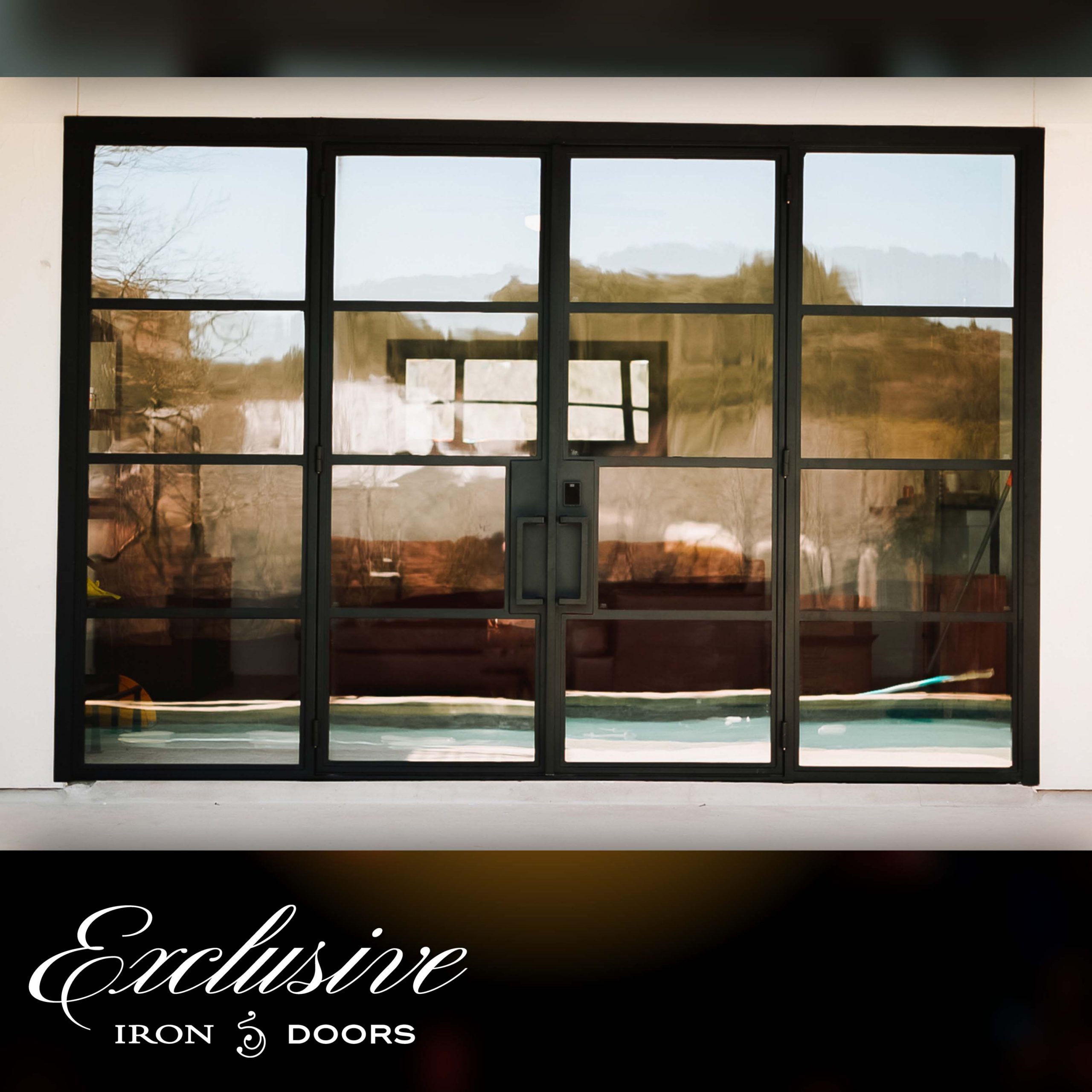 Exclusive Iron Doors image 9