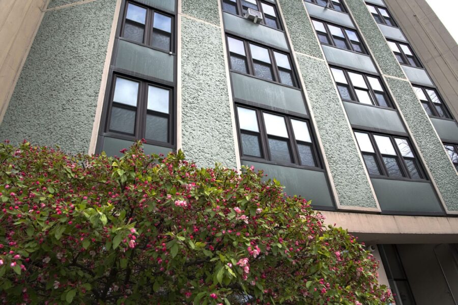 Ecoshield Windows image 1
