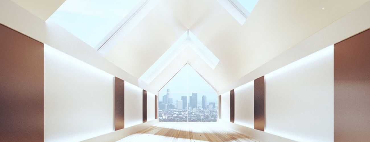 Bird View Skylights