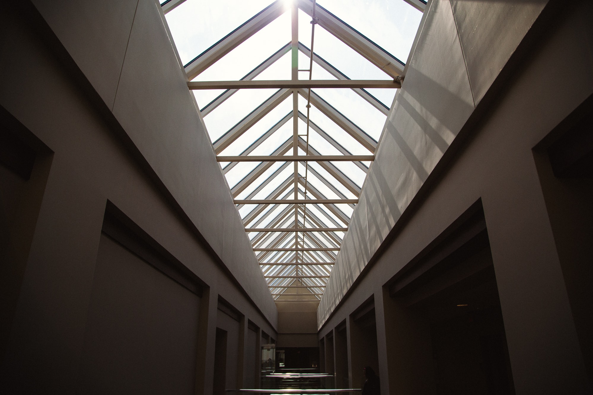 Marco Skylights image 3