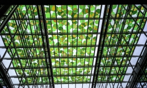 Evergreen House image 11