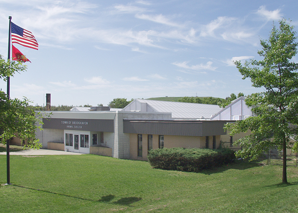 Dome'l Inc. image 4
