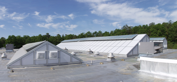 Dome'l Inc. image 7